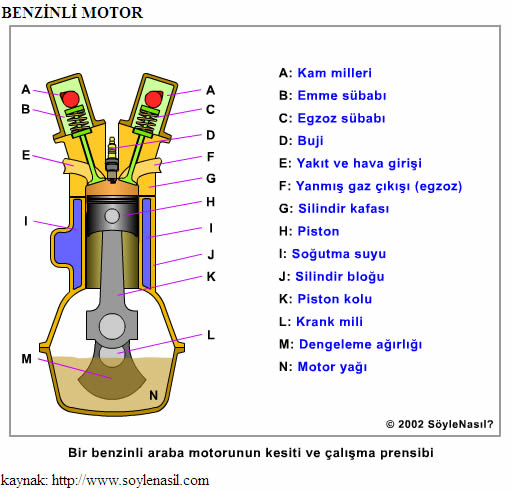 Benzinli Motor